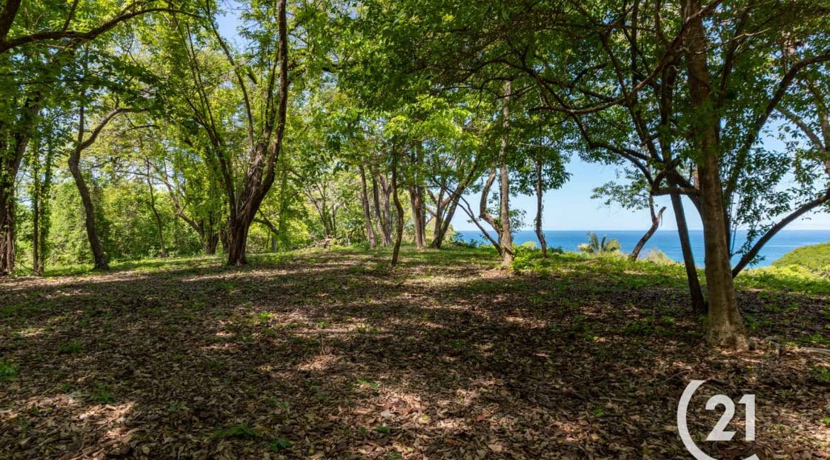 Finca Alucinante Beachfront-Century 21-Nosara-Allan Monestel-Real Estate-Agent-Nosara-Playa Guiones-Playa Pelada-Guanacaste-Costa Rica-Bienes Raices- Real Estate- For Sale-12