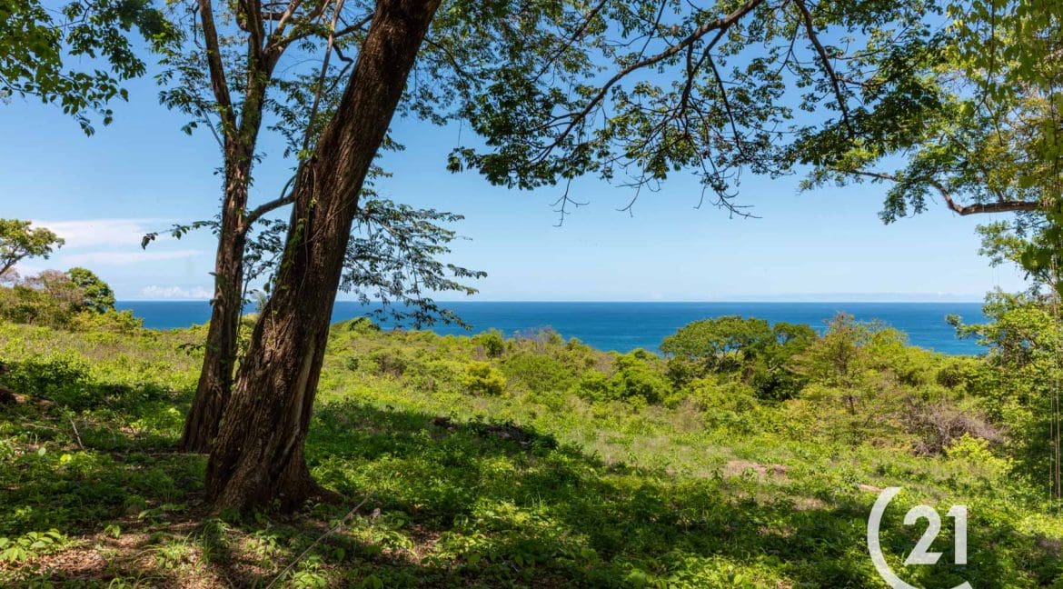 Finca Alucinante Beachfront-Century 21-Nosara-Allan Monestel-Real Estate-Agent-Nosara-Playa Guiones-Playa Pelada-Guanacaste-Costa Rica-Bienes Raices- Real Estate- For Sale-14