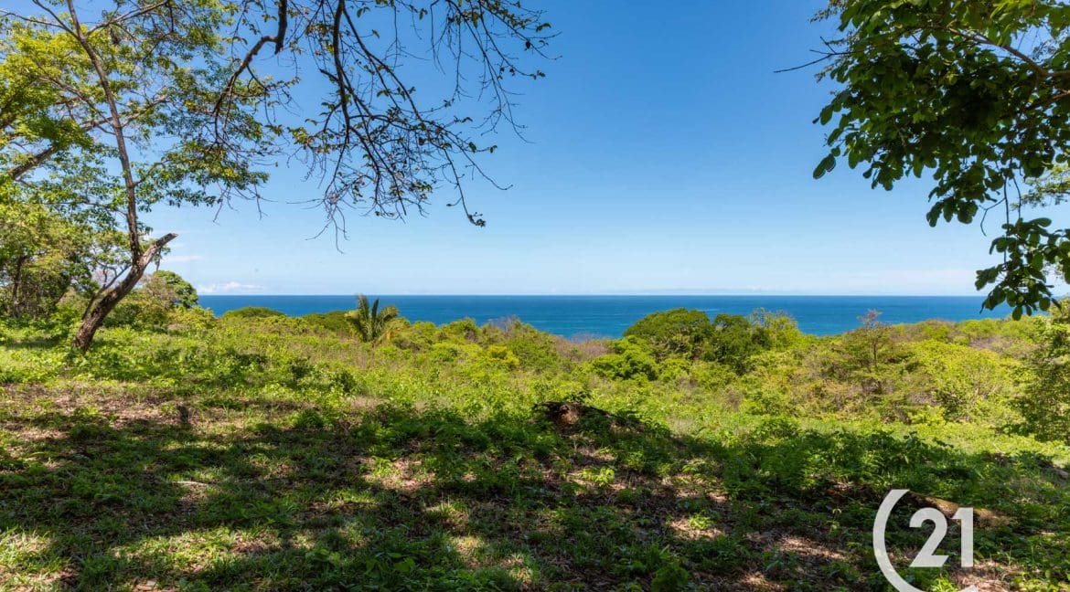 Finca Alucinante Beachfront-Century 21-Nosara-Allan Monestel-Real Estate-Agent-Nosara-Playa Guiones-Playa Pelada-Guanacaste-Costa Rica-Bienes Raices- Real Estate- For Sale-15