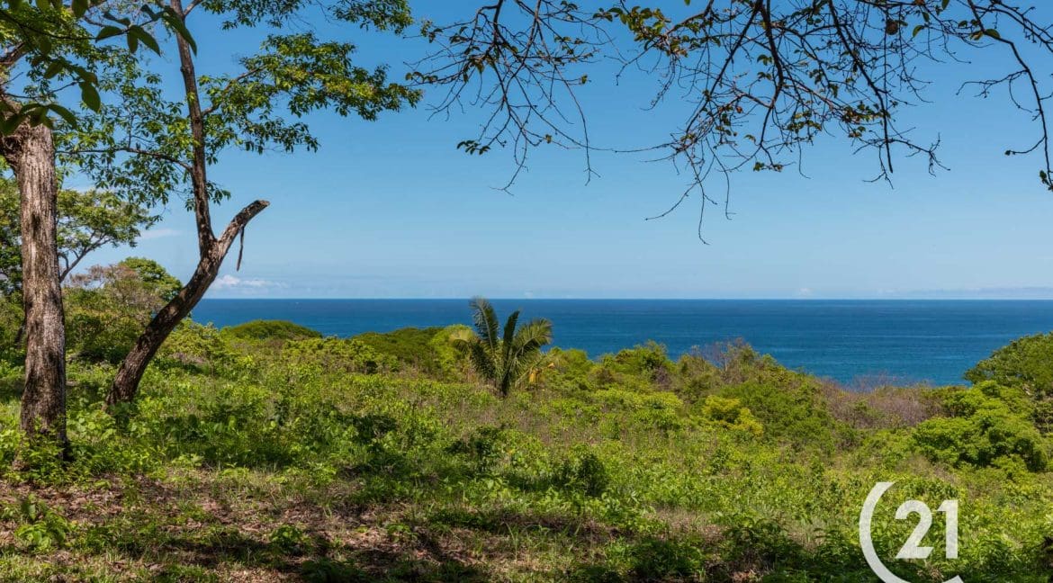 Finca Alucinante Beachfront-Century 21-Nosara-Allan Monestel-Real Estate-Agent-Nosara-Playa Guiones-Playa Pelada-Guanacaste-Costa Rica-Bienes Raices- Real Estate- For Sale-16