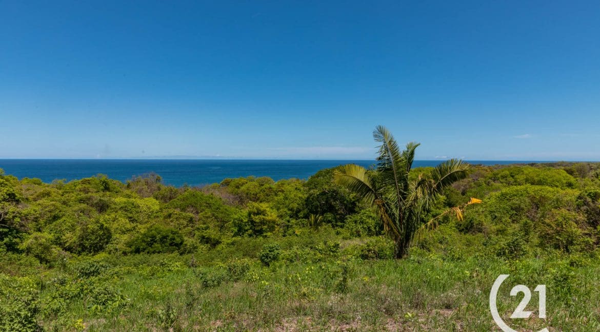 Finca Alucinante Beachfront-Century 21-Nosara-Allan Monestel-Real Estate-Agent-Nosara-Playa Guiones-Playa Pelada-Guanacaste-Costa Rica-Bienes Raices- Real Estate- For Sale-19