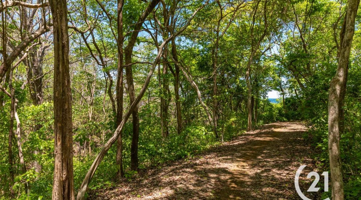 Finca Alucinante Beachfront-Century 21-Nosara-Allan Monestel-Real Estate-Agent-Nosara-Playa Guiones-Playa Pelada-Guanacaste-Costa Rica-Bienes Raices- Real Estate- For Sale-21