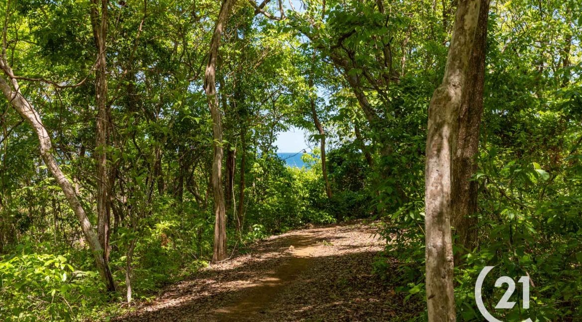 Finca Alucinante Beachfront-Century 21-Nosara-Allan Monestel-Real Estate-Agent-Nosara-Playa Guiones-Playa Pelada-Guanacaste-Costa Rica-Bienes Raices- Real Estate- For Sale-22