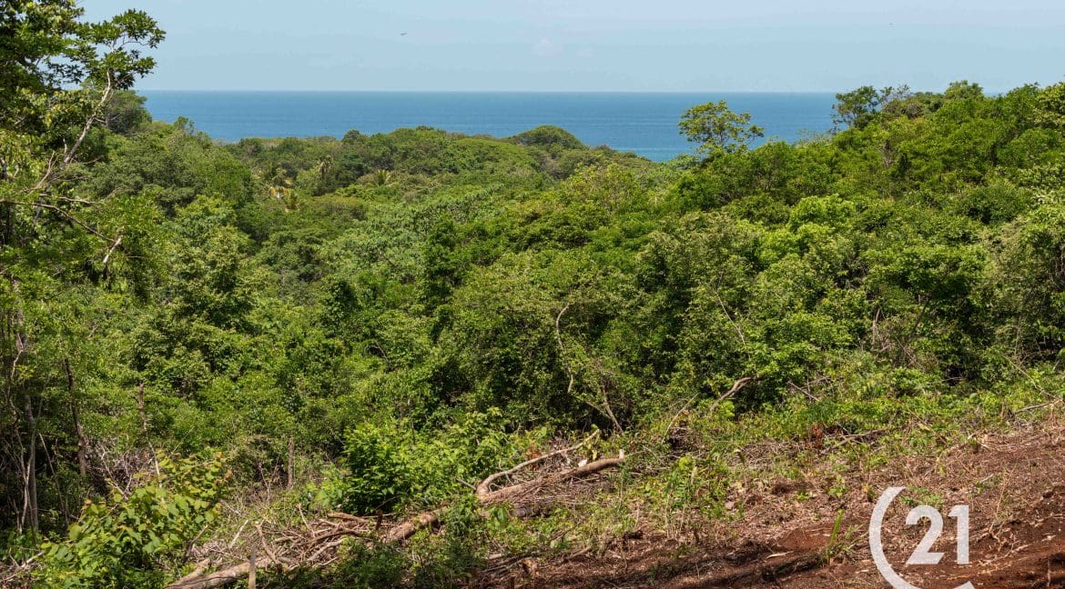 Hectare Ocean View Ostional -Century 21-Nosara-Allan Monestel-Real Estate-Agent-Nosara-Playa Guiones-Playa Pelada-Guanacaste-Costa Rica-Bienes Raices- Real Estate- For Sale-2