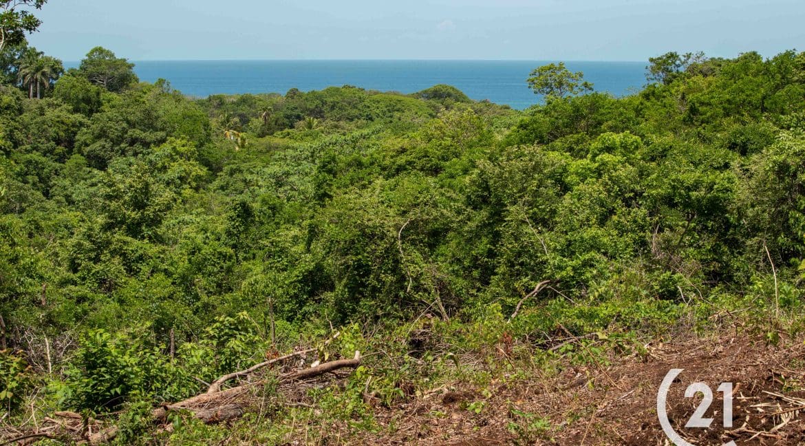 Hectare Ocean View Ostional -Century 21-Nosara-Allan Monestel-Real Estate-Agent-Nosara-Playa Guiones-Playa Pelada-Guanacaste-Costa Rica-Bienes Raices- Real Estate- For Sale-3