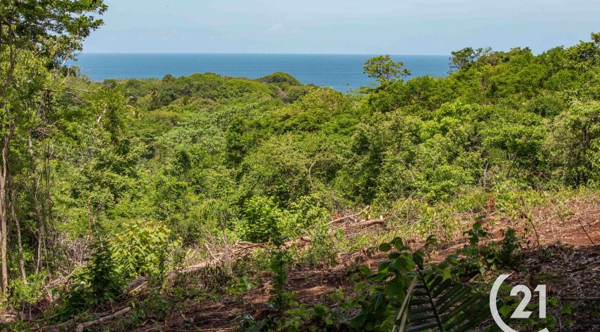 Hectare Ocean View Ostional -Century 21-Nosara-Allan Monestel-Real Estate-Agent-Nosara-Playa Guiones-Playa Pelada-Guanacaste-Costa Rica-Bienes Raices- Real Estate- For Sale-4