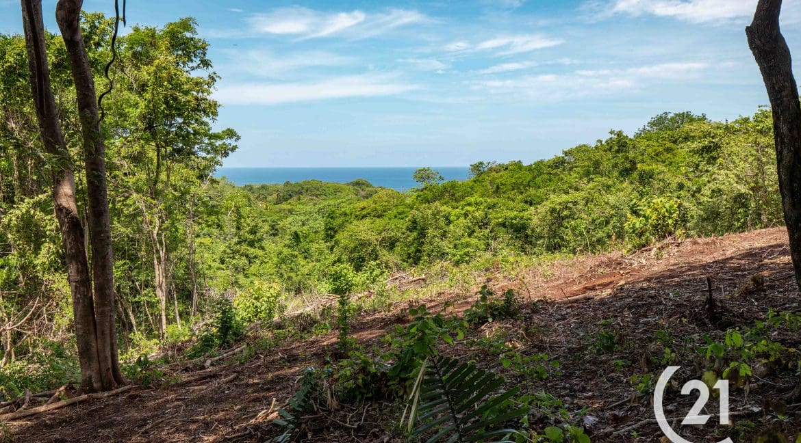 Hectare Ocean View Ostional -Century 21-Nosara-Allan Monestel-Real Estate-Agent-Nosara-Playa Guiones-Playa Pelada-Guanacaste-Costa Rica-Bienes Raices- Real Estate- For Sale-5