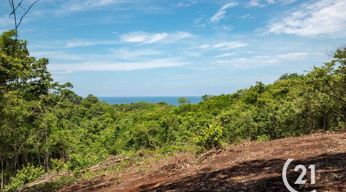 Hectare Ocean View Ostional -Century 21-Nosara-Allan Monestel-Real Estate-Agent-Nosara-Playa Guiones-Playa Pelada-Guanacaste-Costa Rica-Bienes Raices- Real Estate- For Sale-6