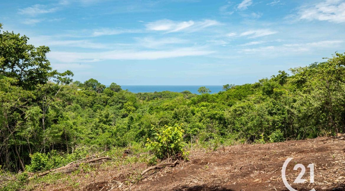 Hectare Ocean View Ostional -Century 21-Nosara-Allan Monestel-Real Estate-Agent-Nosara-Playa Guiones-Playa Pelada-Guanacaste-Costa Rica-Bienes Raices- Real Estate- For Sale-7