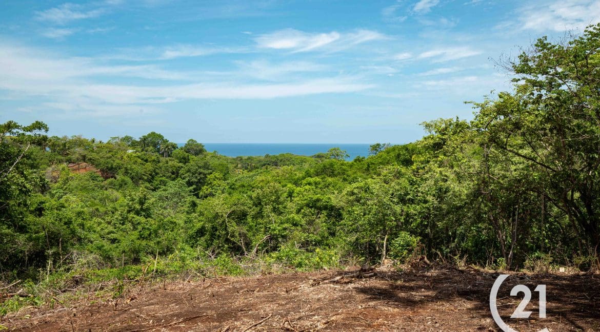 Hectare Ocean View Ostional -Century 21-Nosara-Allan Monestel-Real Estate-Agent-Nosara-Playa Guiones-Playa Pelada-Guanacaste-Costa Rica-Bienes Raices- Real Estate- For Sale-8