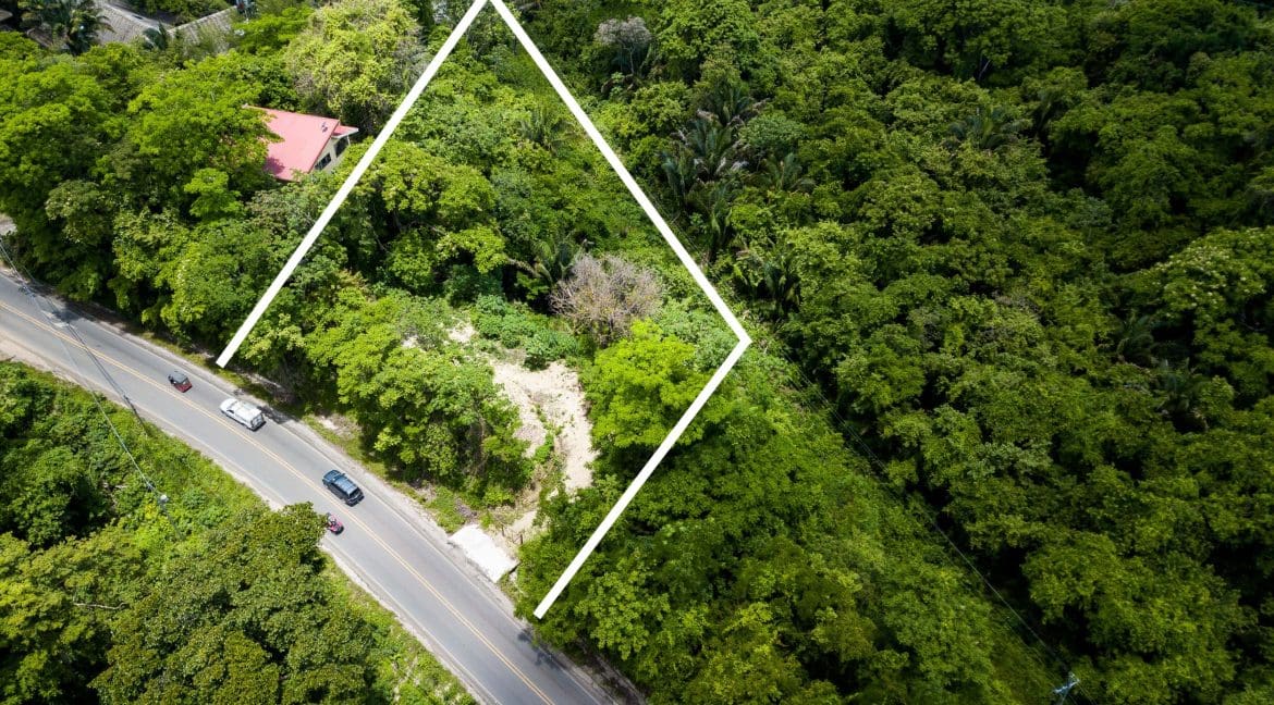 DJI_0242