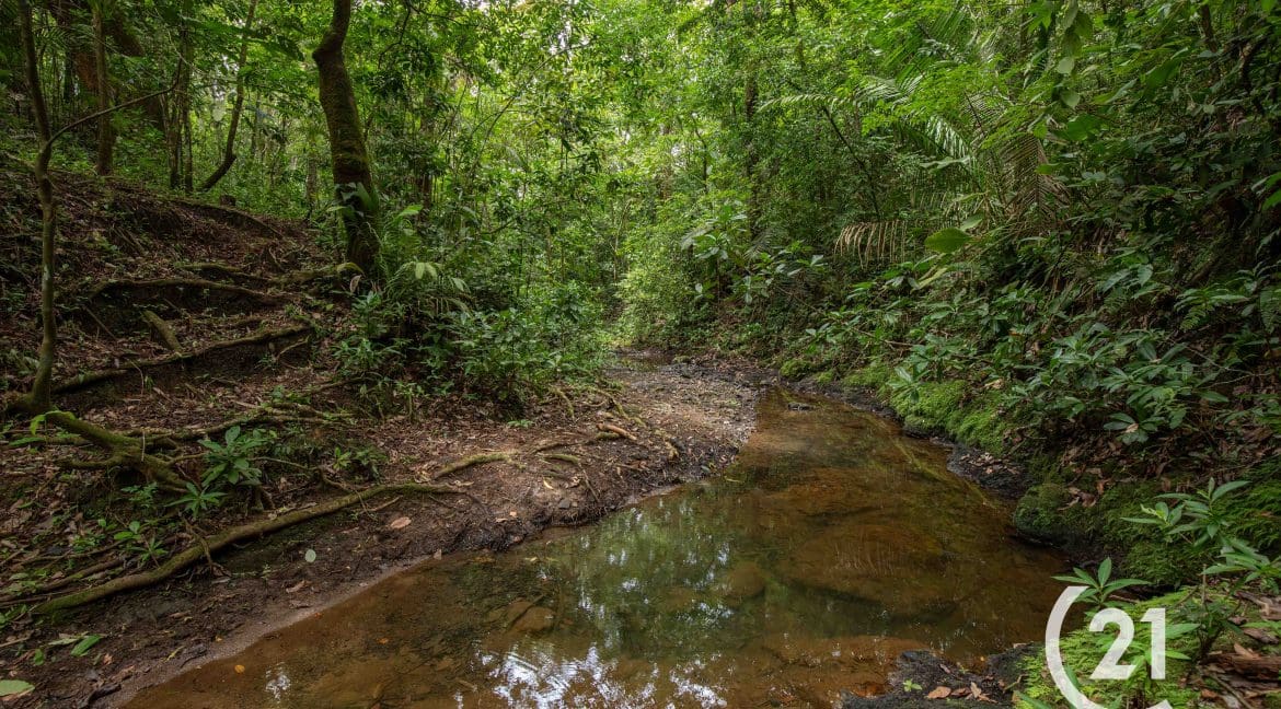 Finca Palmares San Junillo-Century 21-Nosara-Allan Monestel-Real Estate-Agent-Nosara-Playa Guiones-Playa Pelada-Guanacaste-Costa Rica-Bienes Raices- Real Estate- For Sale-10