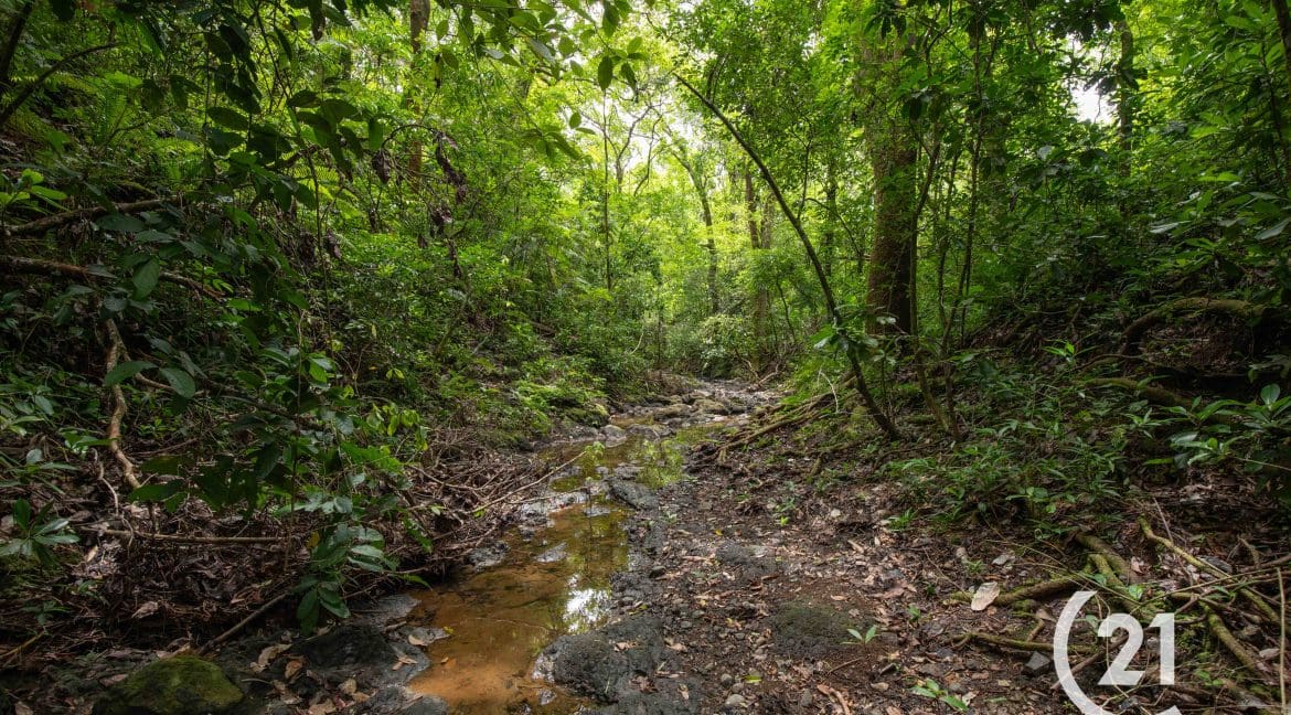 Finca Palmares San Junillo-Century 21-Nosara-Allan Monestel-Real Estate-Agent-Nosara-Playa Guiones-Playa Pelada-Guanacaste-Costa Rica-Bienes Raices- Real Estate- For Sale-11