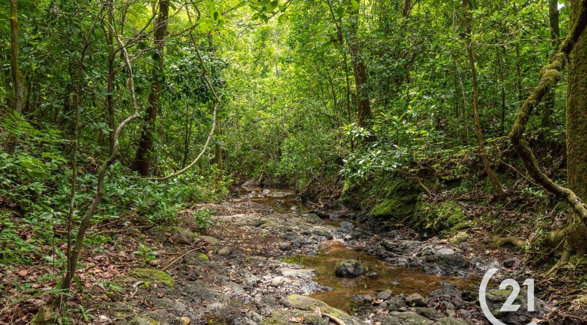 Finca Palmares San Junillo-Century 21-Nosara-Allan Monestel-Real Estate-Agent-Nosara-Playa Guiones-Playa Pelada-Guanacaste-Costa Rica-Bienes Raices- Real Estate- For Sale-13