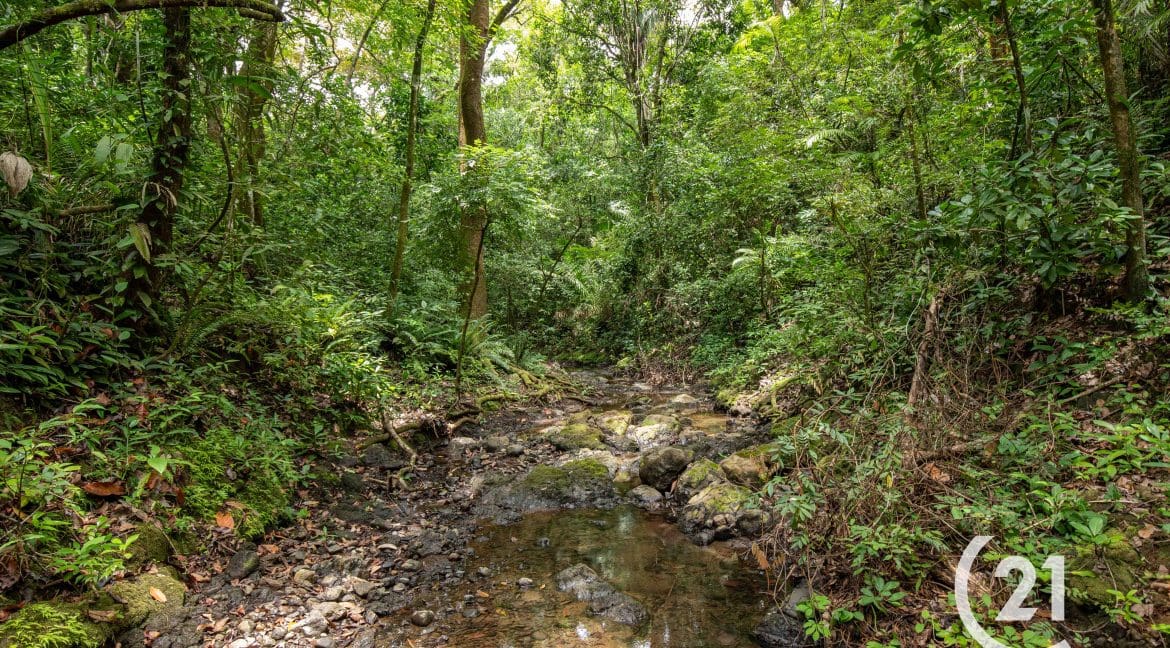 Finca Palmares San Junillo-Century 21-Nosara-Allan Monestel-Real Estate-Agent-Nosara-Playa Guiones-Playa Pelada-Guanacaste-Costa Rica-Bienes Raices- Real Estate- For Sale-14