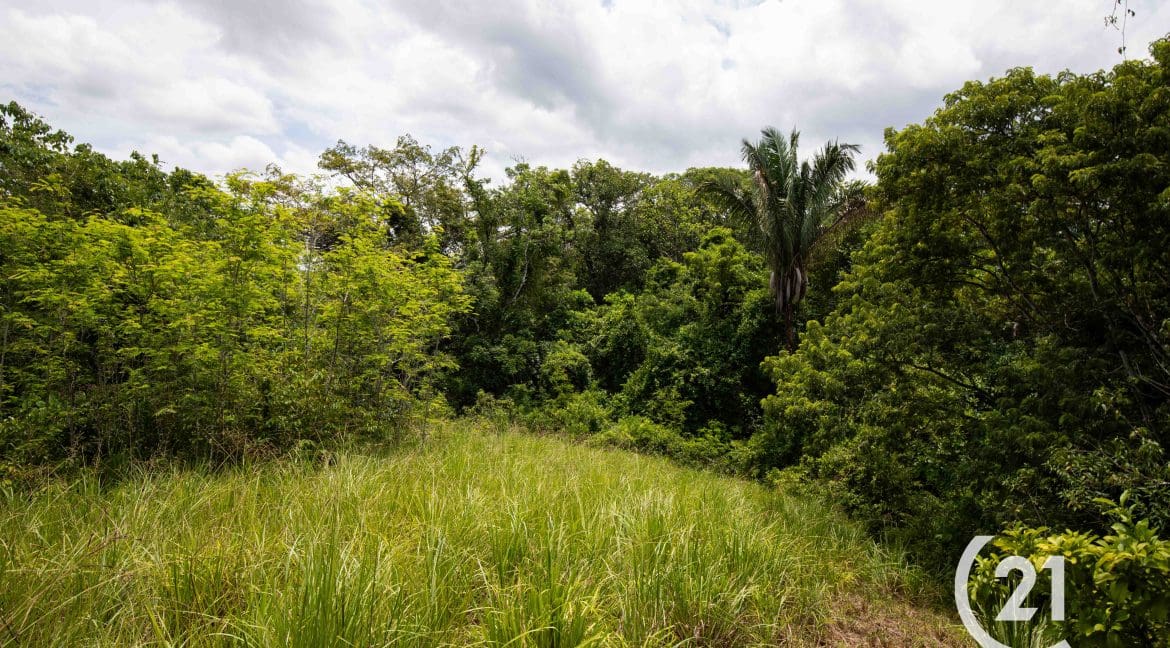 Finca Palmares San Junillo-Century 21-Nosara-Allan Monestel-Real Estate-Agent-Nosara-Playa Guiones-Playa Pelada-Guanacaste-Costa Rica-Bienes Raices- Real Estate- For Sale-15