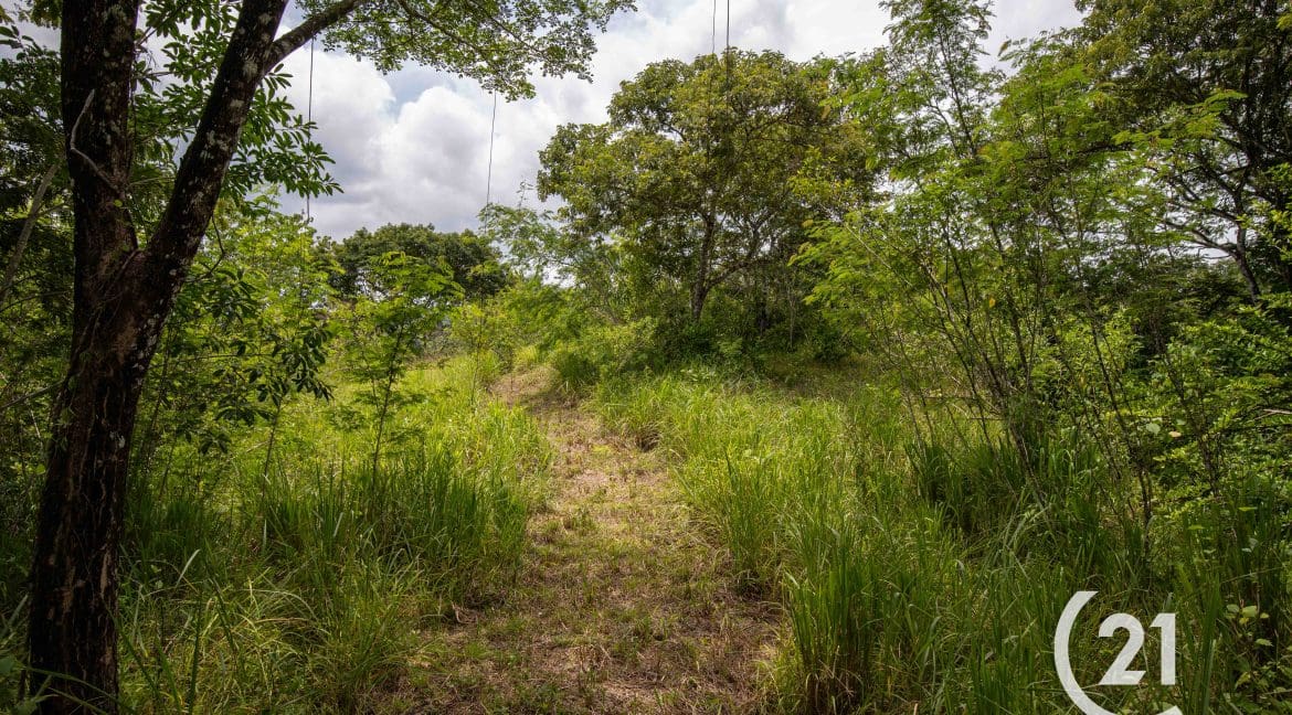 Finca Palmares San Junillo-Century 21-Nosara-Allan Monestel-Real Estate-Agent-Nosara-Playa Guiones-Playa Pelada-Guanacaste-Costa Rica-Bienes Raices- Real Estate- For Sale-24