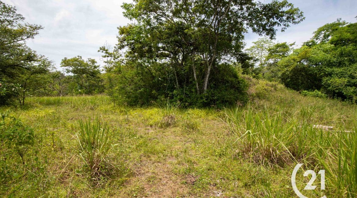 Finca Palmares San Junillo-Century 21-Nosara-Allan Monestel-Real Estate-Agent-Nosara-Playa Guiones-Playa Pelada-Guanacaste-Costa Rica-Bienes Raices- Real Estate- For Sale-25
