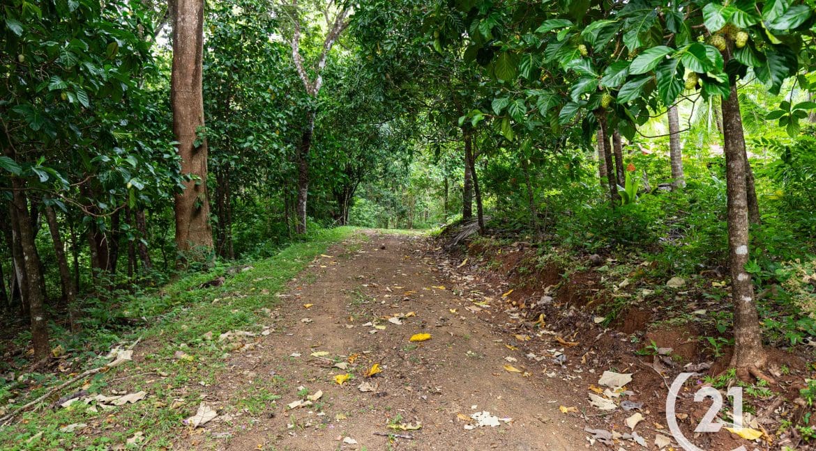 Finca Rio Rosario Mountain -Century 21-Nosara-Allan Monestel-Real Estate-Agent-Nosara-Playa Guiones-Playa Pelada-Guanacaste-Costa Rica-Bienes Raices- Real Estate- For Sale-12