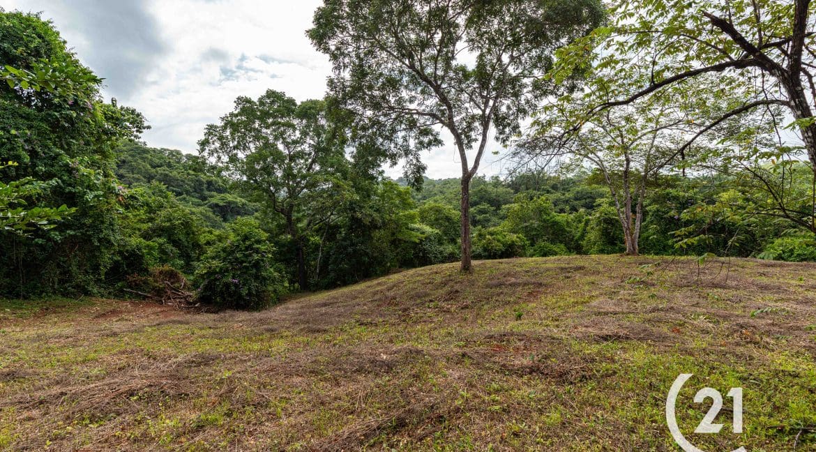 Finca Rio Rosario Mountain -Century 21-Nosara-Allan Monestel-Real Estate-Agent-Nosara-Playa Guiones-Playa Pelada-Guanacaste-Costa Rica-Bienes Raices- Real Estate- For Sale-15