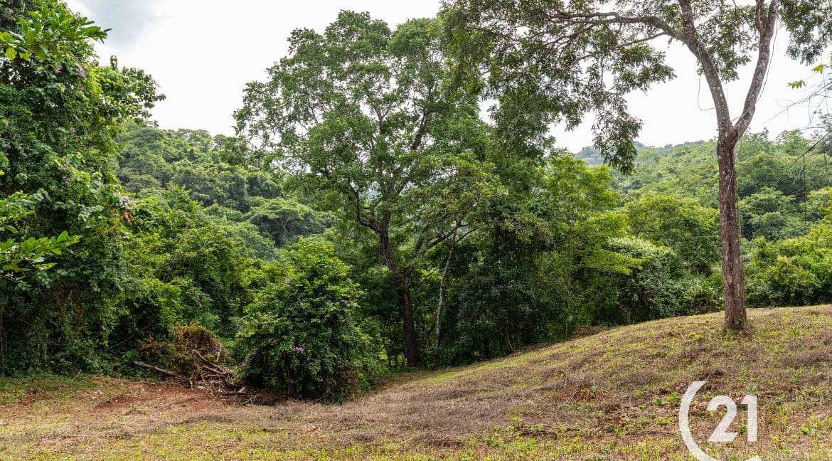Finca Rio Rosario Mountain -Century 21-Nosara-Allan Monestel-Real Estate-Agent-Nosara-Playa Guiones-Playa Pelada-Guanacaste-Costa Rica-Bienes Raices- Real Estate- For Sale-16