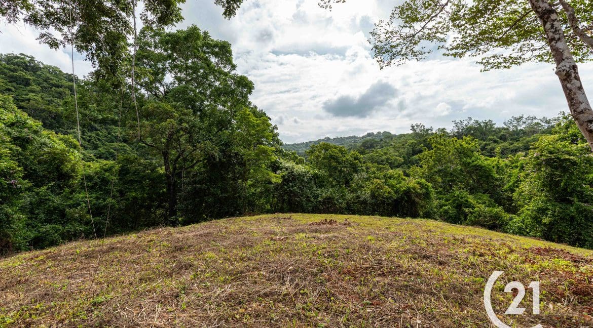 Finca Rio Rosario Mountain -Century 21-Nosara-Allan Monestel-Real Estate-Agent-Nosara-Playa Guiones-Playa Pelada-Guanacaste-Costa Rica-Bienes Raices- Real Estate- For Sale-17