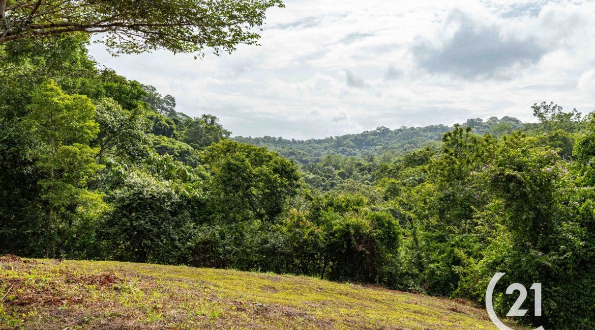 Finca Rio Rosario Mountain -Century 21-Nosara-Allan Monestel-Real Estate-Agent-Nosara-Playa Guiones-Playa Pelada-Guanacaste-Costa Rica-Bienes Raices- Real Estate- For Sale-18