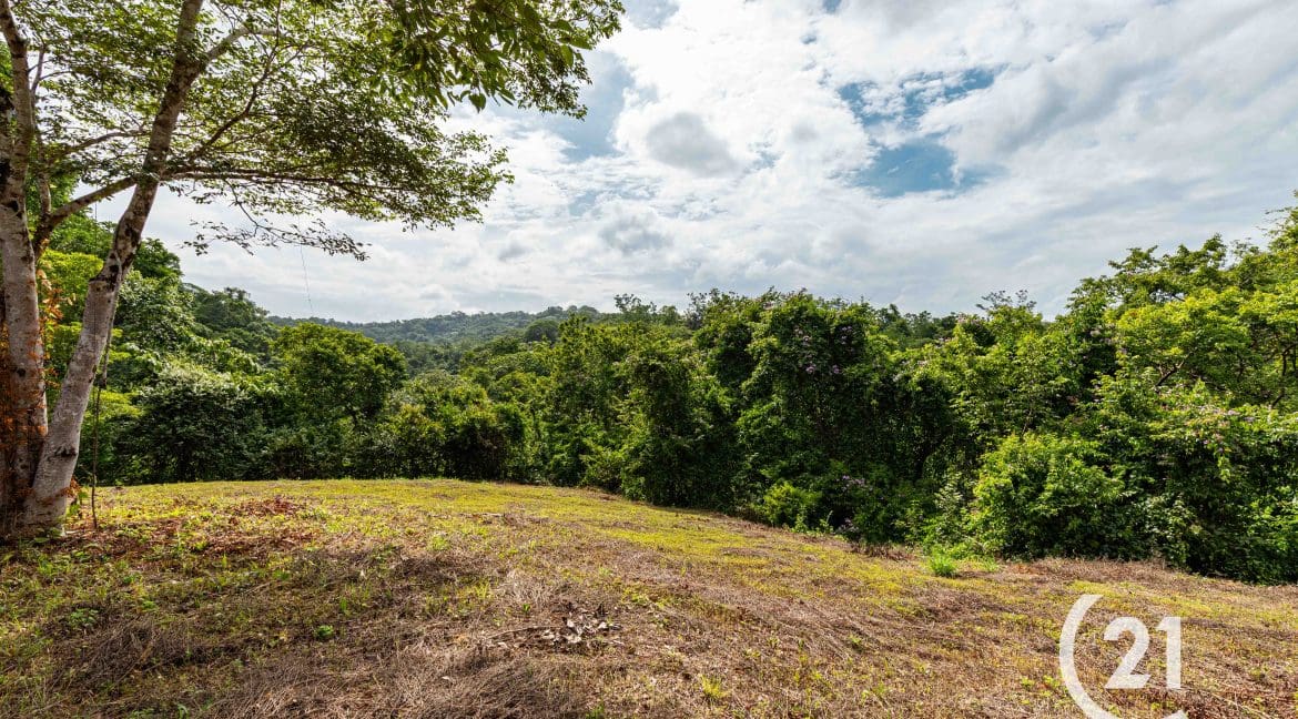 Finca Rio Rosario Mountain -Century 21-Nosara-Allan Monestel-Real Estate-Agent-Nosara-Playa Guiones-Playa Pelada-Guanacaste-Costa Rica-Bienes Raices- Real Estate- For Sale-19