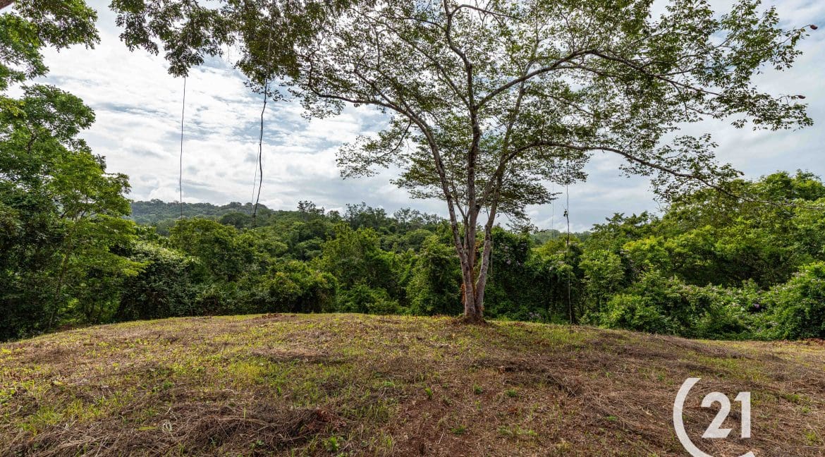 Finca Rio Rosario Mountain -Century 21-Nosara-Allan Monestel-Real Estate-Agent-Nosara-Playa Guiones-Playa Pelada-Guanacaste-Costa Rica-Bienes Raices- Real Estate- For Sale-20
