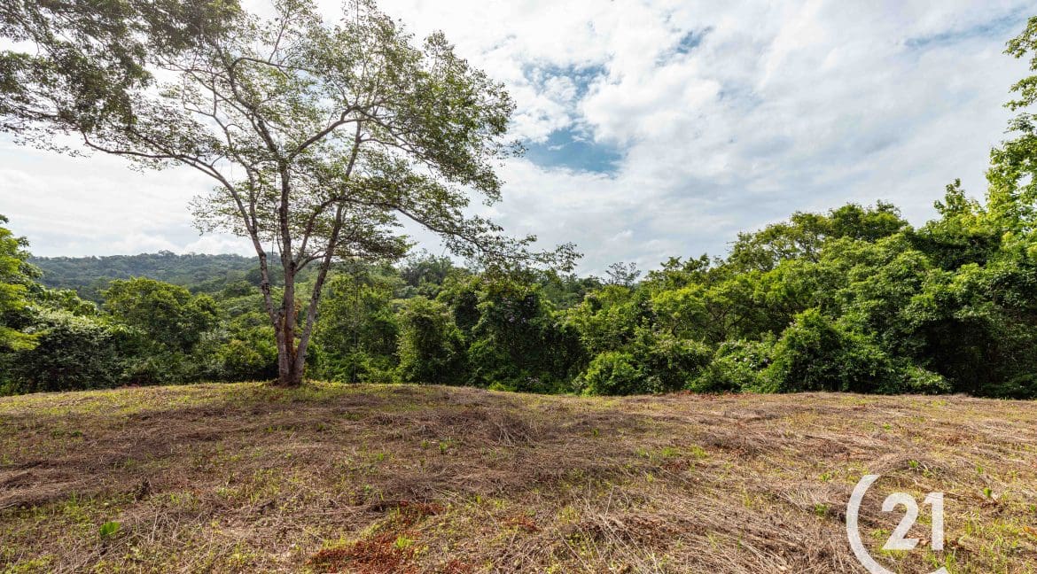Finca Rio Rosario Mountain -Century 21-Nosara-Allan Monestel-Real Estate-Agent-Nosara-Playa Guiones-Playa Pelada-Guanacaste-Costa Rica-Bienes Raices- Real Estate- For Sale-21