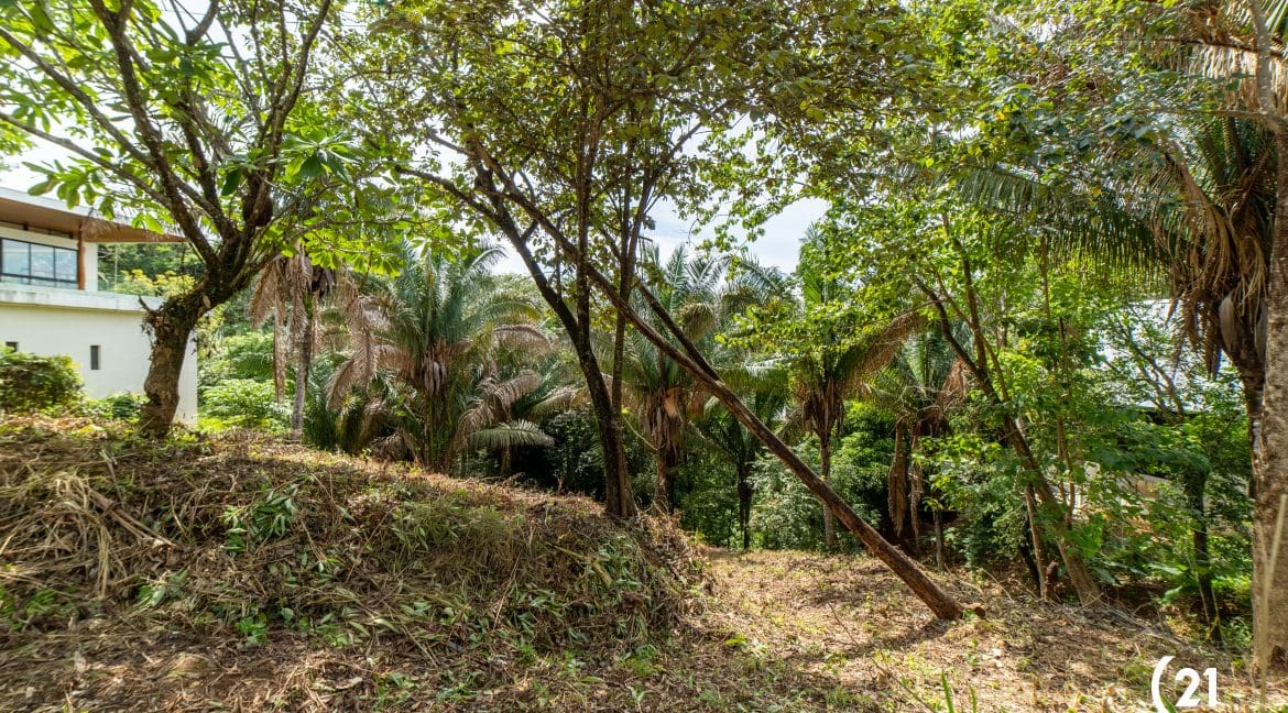 C21 Nosara Lote Huacas-5