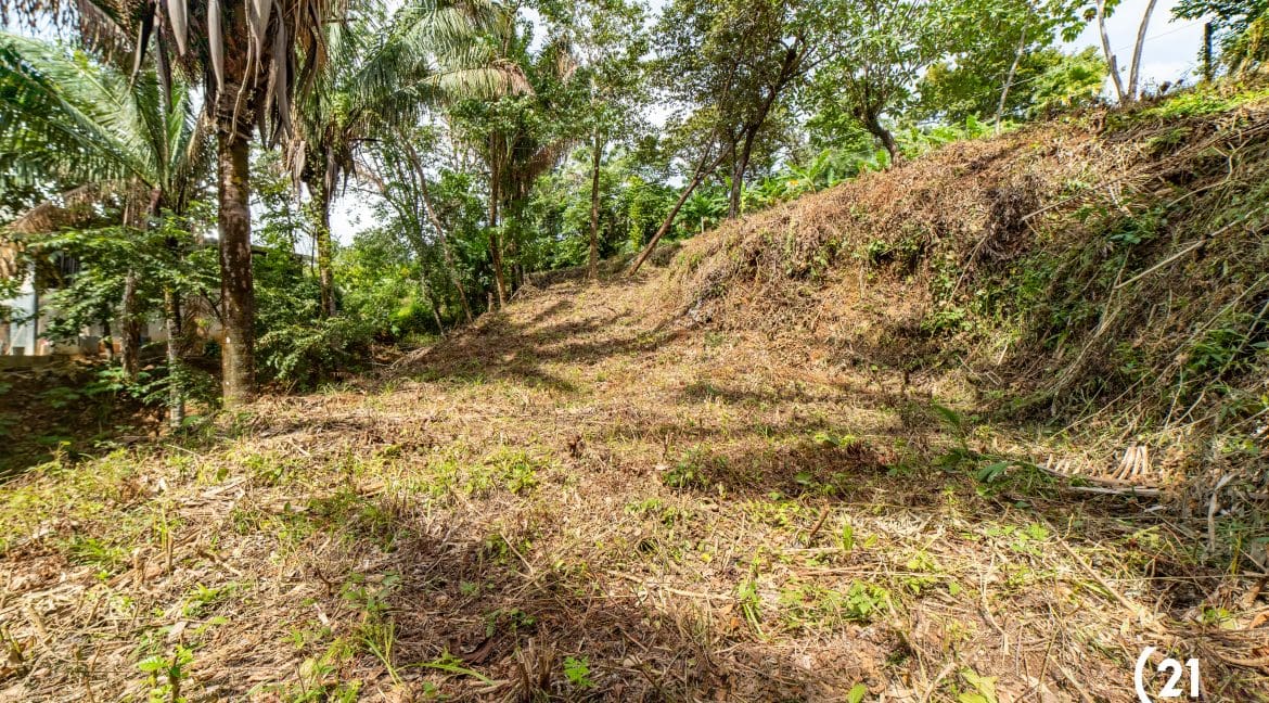 C21 Nosara Lote Huacas-9