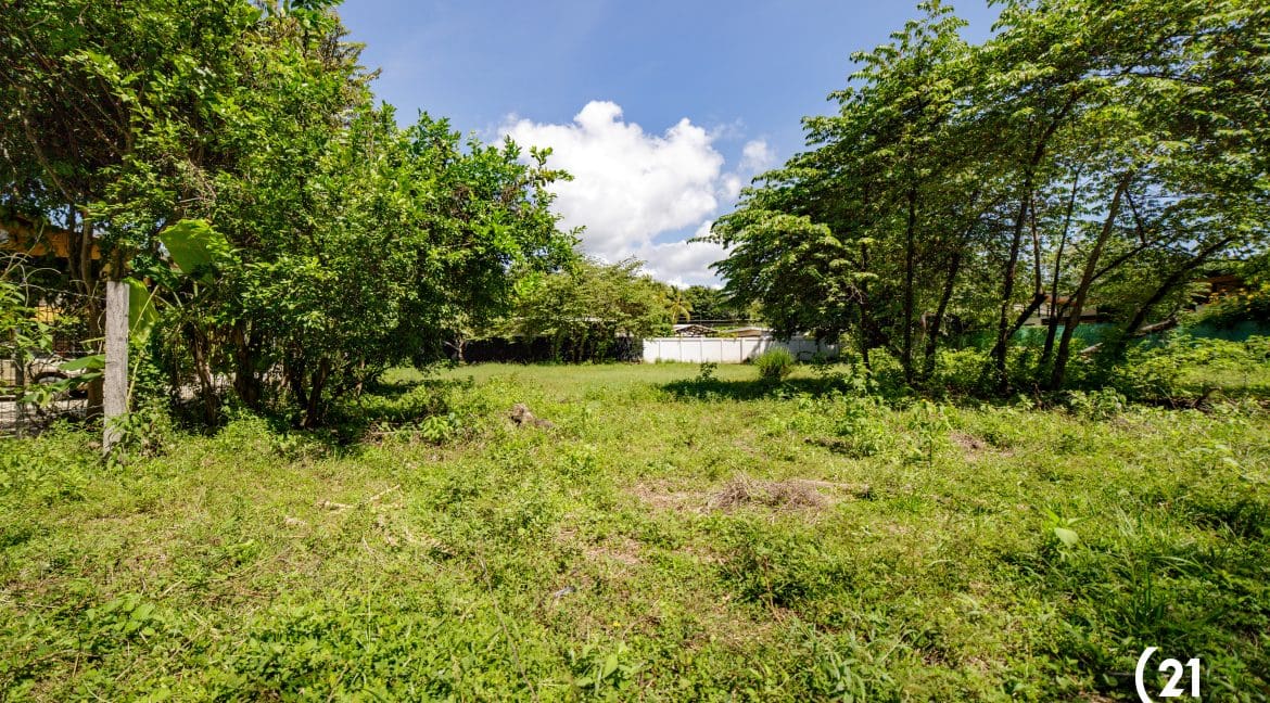 C21 Nosara Lote Pelada 10