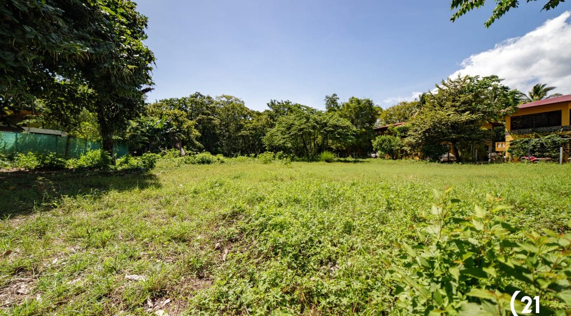 C21 Nosara Lote Pelada 5