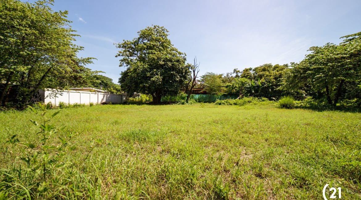 C21 Nosara Lote Pelada 7