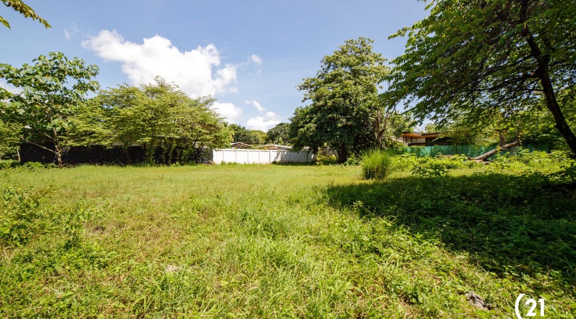 C21 Nosara Lote Pelada 8