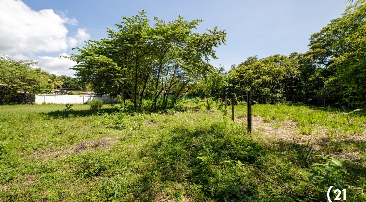 C21 Nosara Lote Pelada 9